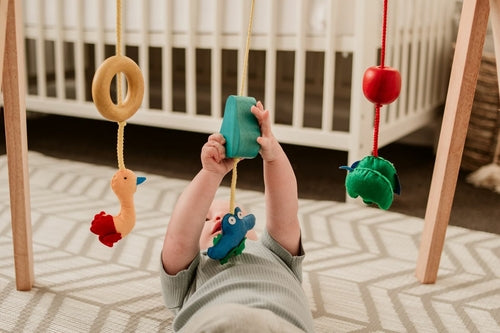 Wzorzyste miseczki z łupin kokosa QToys, 6 sztuk