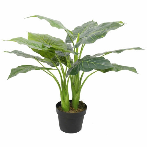 Sztuczna roślina w doniczce – taro „Słoniowe ucho”, 70 cm